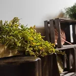 Casas Do Prazo - Nogueira (Viana do Castelo)