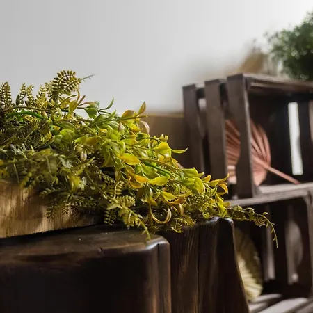 Casas Do Prazo - Nogueira (Viana do Castelo)