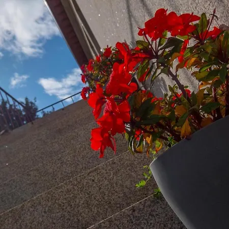 Casas Do Prazo - בית כפרי Nogueira (Viana do Castelo)