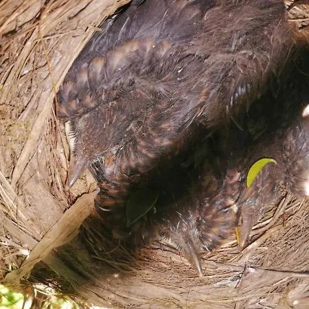Casas Do Prazo - * Nogueira (Viana do Castelo)