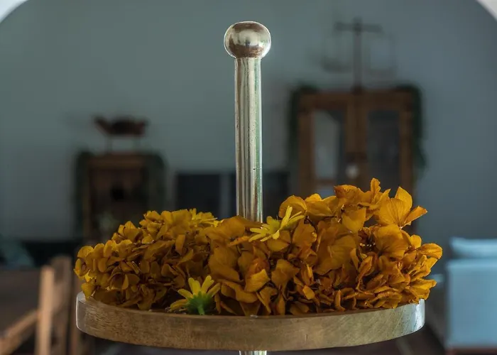 Casas Do Prazo - Landhuis Nogueira (Viana do Castelo)