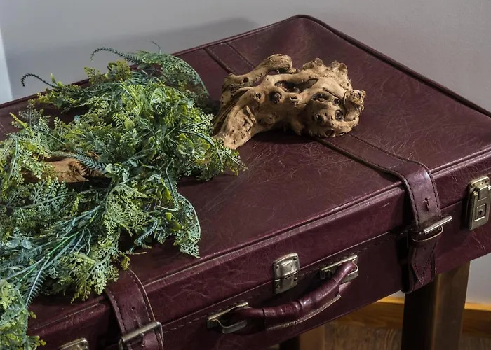 Casa de Campo Casas Do Prazo - *