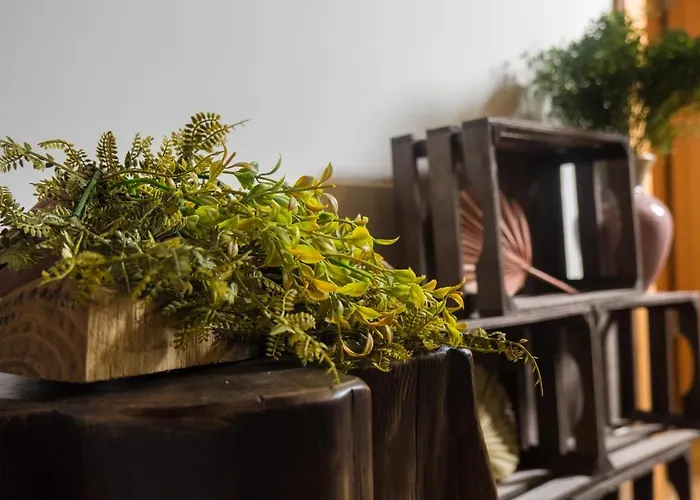 Casas Do Prazo - Nogueira (Viana do Castelo)